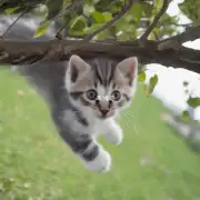 为什么小猫会爬上窗帘而不去攀缘树枝呢?